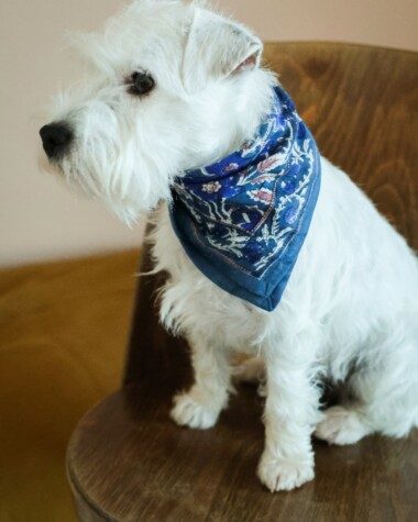 Foulard petit format – Uma bleu cobalt