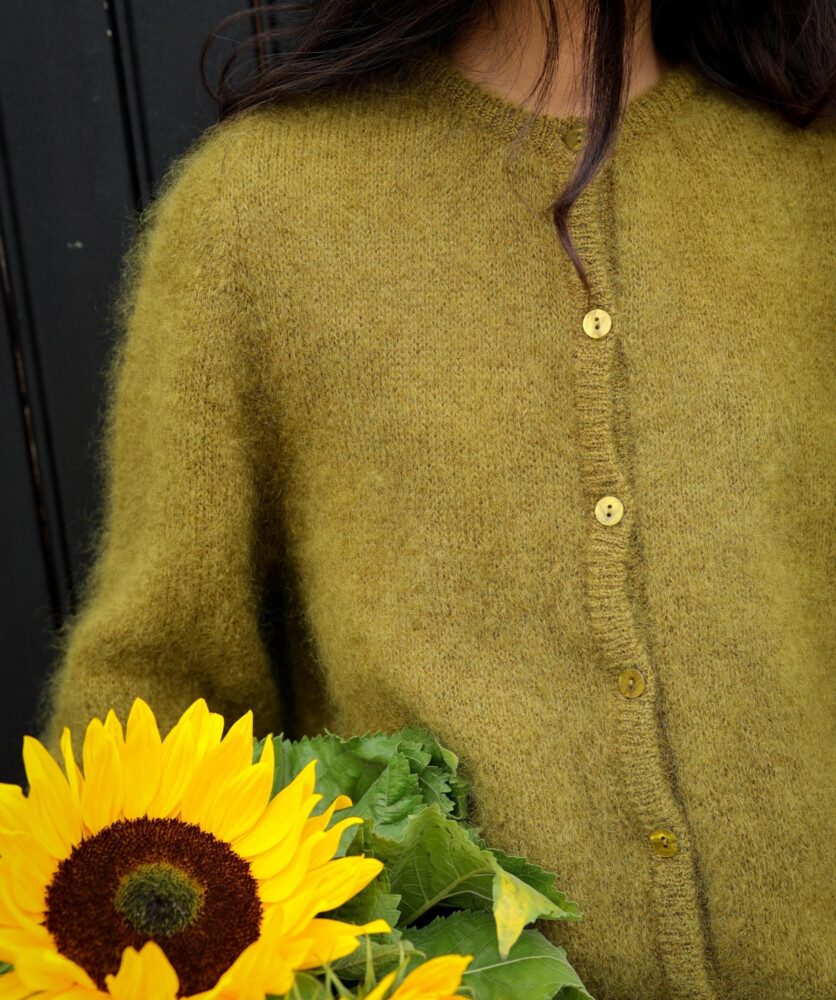 Cardigan Oscar – Bronze