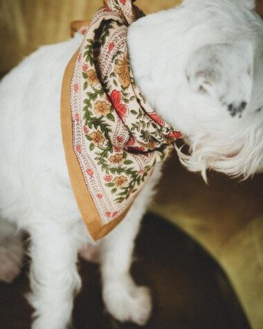 Foulard petit format – Ellis Ocre