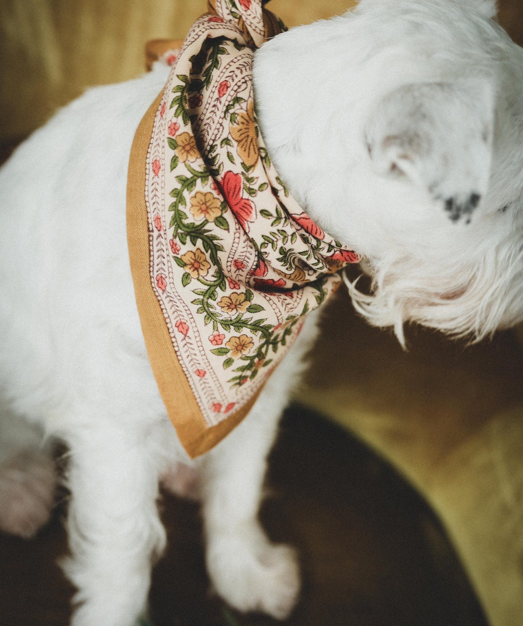 Foulard petit format – Ellis Ocre