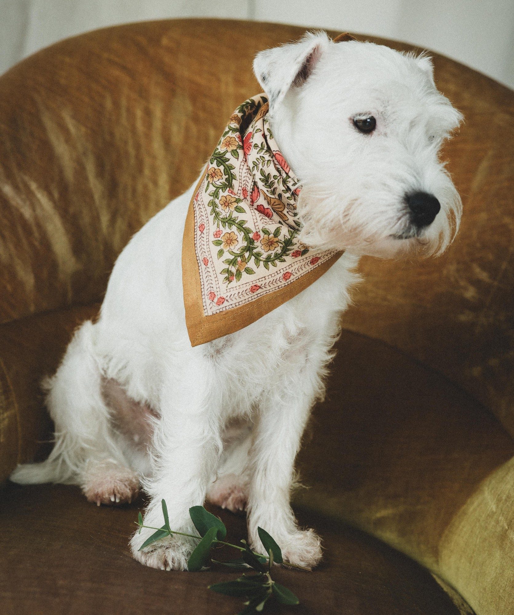 Foulard petit format – Ellis Ocre